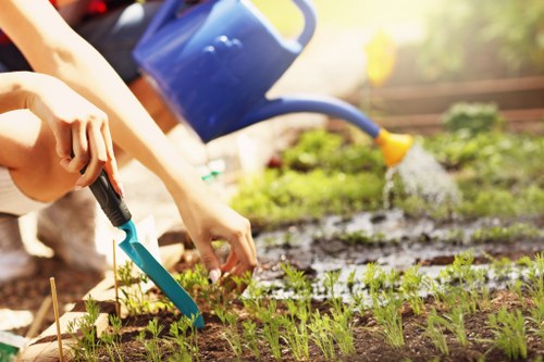 The image depicts a gardener in a garden setting, actively planting or tending young seedlings in a well-maintained outdoor space. In the foreground, fresh soil is visible with evenly spaced small green plants, suggesting a vegetable or flower bed. To the left, a person's hand is holding a small gardening trowel, indicating ongoing planting activity. In the background, a blue watering can is seen pouring water onto the garden, helping to nourish the plants. The scene is bathed in natural daylight, possibly in the late morning or early afternoon, with a blurred backdrop of garden plants and foliage. The overall environment appears organized and healthy, reflecting typical gardening practices in a residential garden, which garden maintenance services in Kentish Town might support through lawn care and planting assistance. The setting emphasizes a focus on nurturing young plants and maintaining outdoor gardening features, framed by natural tones of green, brown, and blue, conveying a professional yet natural outdoor environment.