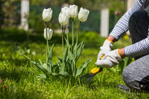 Tree maintenance services in Kentish Town
