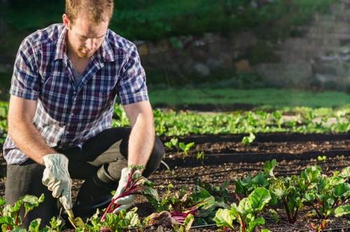 Workers arranging compost bins at a Kentish Town garden