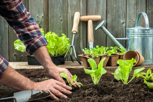 Gardener tending to a Kentish Town garden