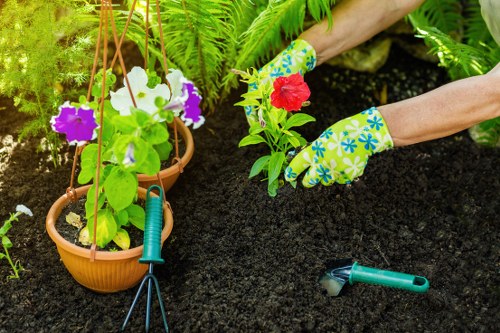 Eco-friendly hedge trimming tools and practices