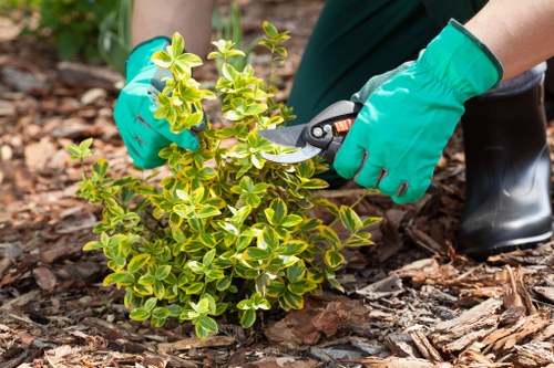 Skilled horticulturists working on a garden