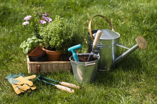 Professional garden clearance in Kentish Town
