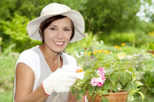Green and healthy lawn maintained by experts