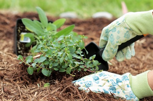 Sustainable garden with eco-friendly elements