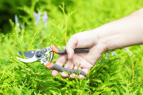 Lush green garden enhancing property value