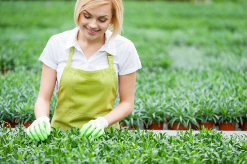 Lush garden maintained by experts