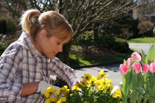 Mulched garden beds showing recycled materials in use